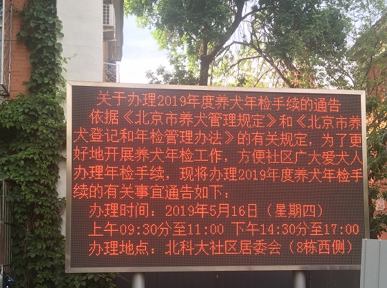 养犬.jpg